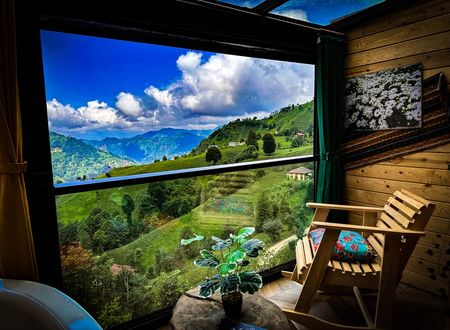 turkey/rize/camlihemsin/organikkoybungalov560b04a4.jpg