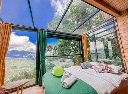 turkey/rize/camlihemsin/organikkoybungaloveabd5f0c.jpg