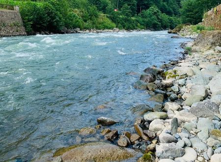 turkey/rize/camlihemsin/tanurabungalowsb49f6698.jpg