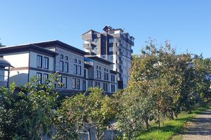 turkey/rize/denizkonakotela6a479a5.jpg