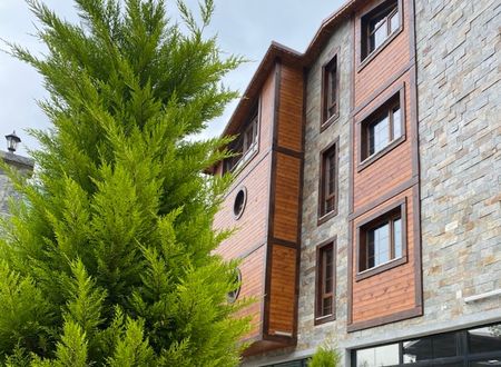 turkey/rize/didibutikhotel2bbef3d2.jpg