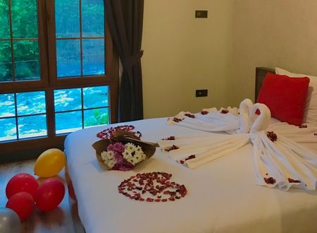 turkey/rize/didibutikhotel48d4d6dc.jpg