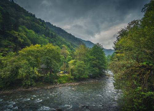 turkey/rize/kiyibungalovff144649.jpg