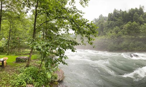 turkey/rize/lelvanisuitbungalov47fe6179.jpg