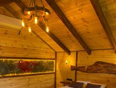 ROOM WITH MOUNTAIN VIEW