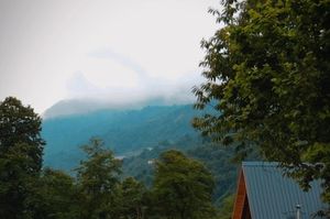 turkey/rize/nomskysuitbungalov218255fe.jpg