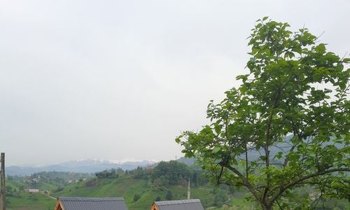 turkey/rize/omrabungalov92032f48.jpg