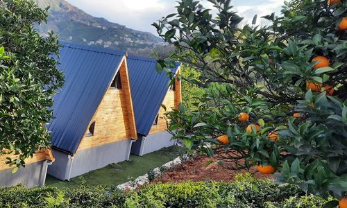 turkey/rize/omrabungalova2da8f81.jpg