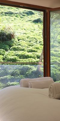 Oris Green Hotel