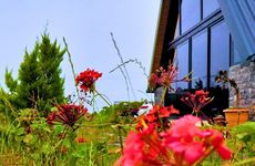 turkey/rize/paradisevalleybungalow3475f6d6.jpg
