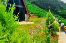 turkey/rize/paradisevalleybungalow9ccff21f.jpg