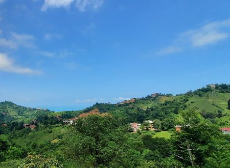 turkey/rize/patikpansiyon0496498f.jpg
