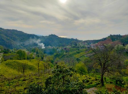 turkey/rize/patikpansiyonb2e4660b.jpg
