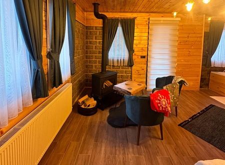 turkey/rize/riasuitotel85d0a87c.jpg