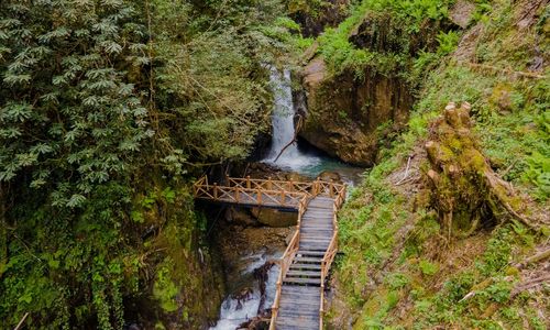 turkey/rize/safirdogaevleri8f51d310.jpg