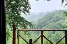 turkey/rize/sakabungalovfd76a8d3.jpg