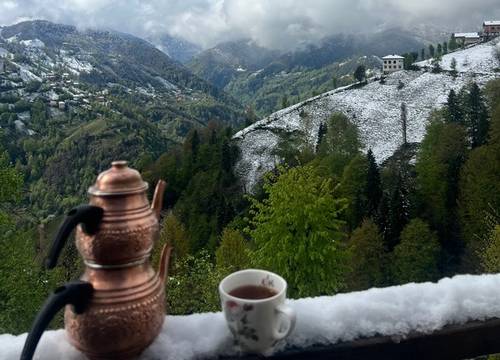 turkey/rize/serintepebungalov38ff2ea1.jpg