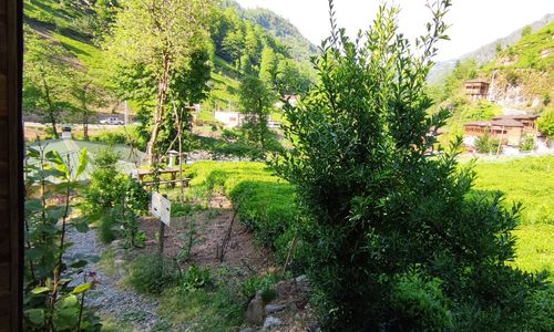 turkey/rize/tabiatbungalows709d1a60.jpg