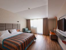 Standard Room with Balcony