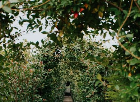 turkey/sakarya/adesaboutiquebungalowhotel1a5878b7.jpg