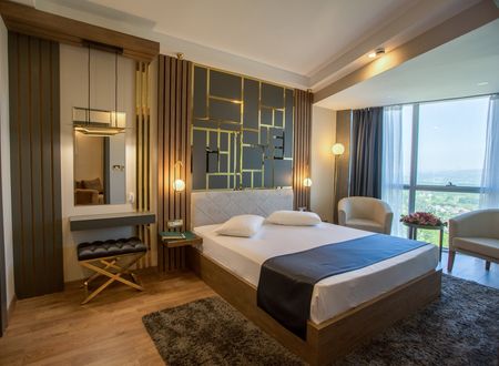 turkey/sakarya/cabirdeluxehotelsapancamuhafazakarb82c2395.jpg