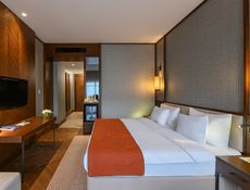 Deluxe Orman Manzaralı Oda