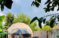 Lotus Dome (Havuzlu-Jakuzili)