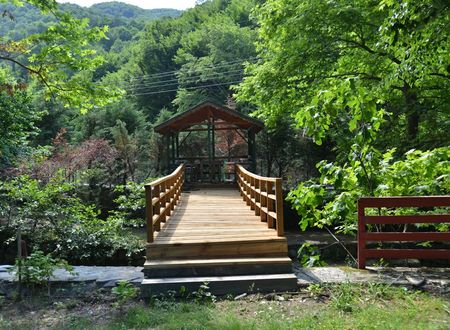turkey/sakarya/feellivehotelvillas0cdbc95e.jpg