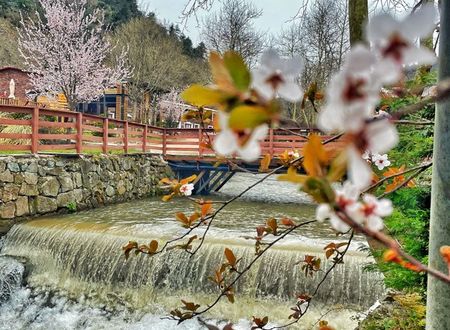 turkey/sakarya/feellivehotelvillas587eb674.jpg