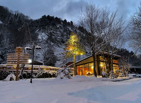 turkey/sakarya/feellivehotelvillasc48402c7.jpg