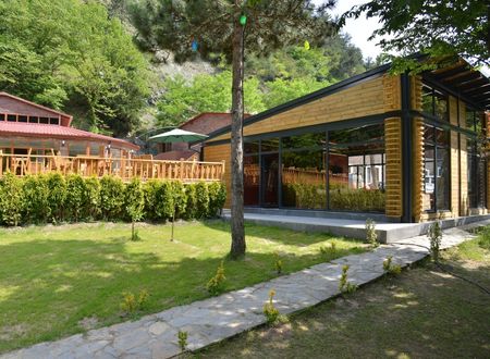 turkey/sakarya/feellivehotelvillascd26f1de.jpg