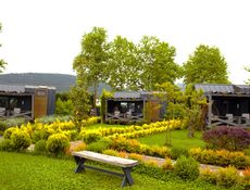 Asma Katlı Tiny House