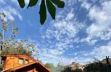 turkey/sakarya/mercanbungalov493d37d7.jpg