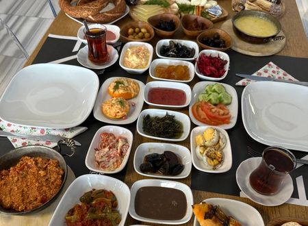 turkey/sakarya/nalaotel9b6e7118.jpg