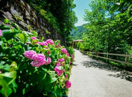 turkey/sakarya/naturkoybungalov0f40e8fa.jpg