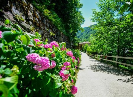 turkey/sakarya/naturkoybungalov8c1c2b5e.jpg