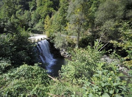turkey/sakarya/naturkoybungalov8de05532.jpg