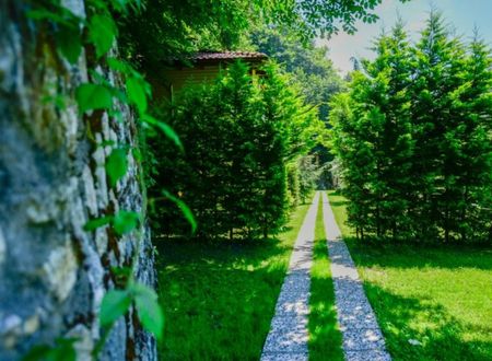 turkey/sakarya/naturkoybungalove75425d4.jpg