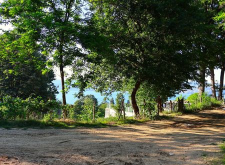 turkey/sakarya/ramadaresortbywyndhamthermalsapanca64a6d7eb.jpg