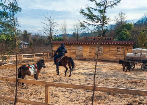 turkey/sakarya/ramadaresortbywyndhamthermalsapancacb7bf599.jpg