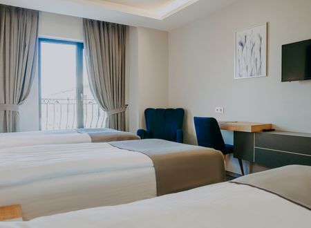 turkey/sakarya/sakaryahotel94929820.jpg