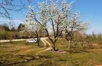 Dağ Evi