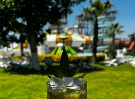 turkey/sakarya/sapanca/sapancaaquawellnessspahotel5ac845b2.jpg