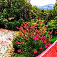Sapanca Bizim Konak