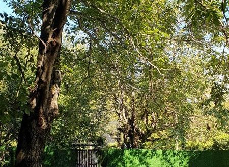 turkey/sakarya/sapanca/sapancacaglayanbungalova1b8ad26.jpg