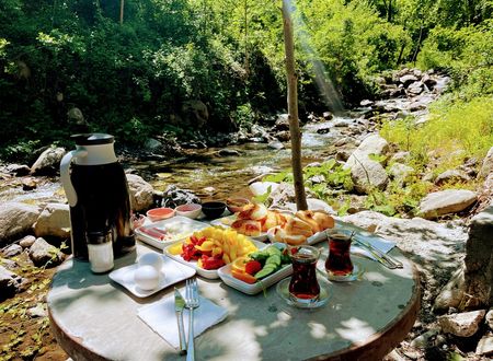 turkey/sakarya/sapanca/sapancakeyfiderebungalow57d6dc77.jpg