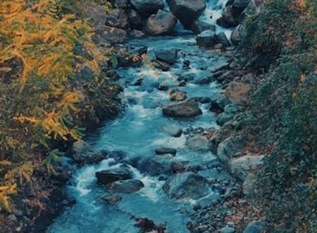 turkey/sakarya/sapanca/sapancakeyfiderebungalowc57d521b.jpg