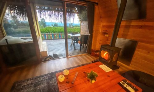 turkey/sakarya/sapanca/sapancanarlibahcebungalov2375e8d9.jpg