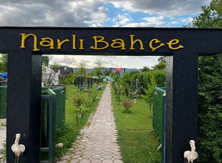 turkey/sakarya/sapanca/sapancanarlibahcebungalov255f7695.jpg