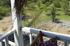 turkey/sakarya/sapancatinyhousesa7309127.jpg